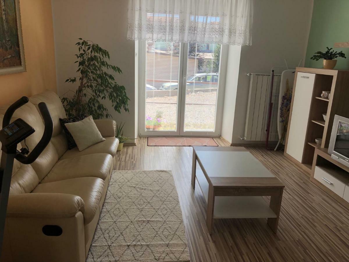 Apartma Mahnic Postojna Ngoại thất bức ảnh